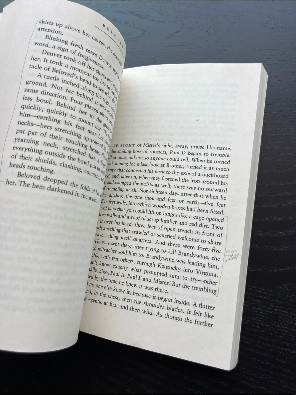 Vintage International Beloved Toni Morrison Paperback Red Book Approx 8 Inch